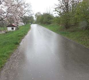Kirschenweg