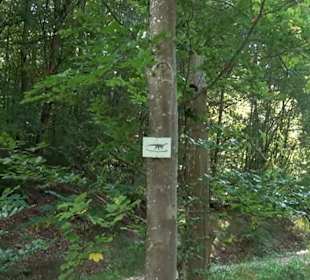 Wanderung Kirnberg-Runde Bebenhausen