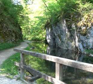 Premiumwanderweg Hochgehschätzt