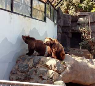 ZOO José Cruz Conde
