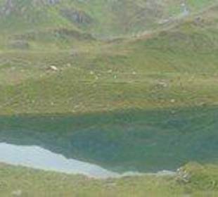 Torseen