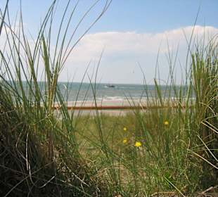 Dünen am Weststrand