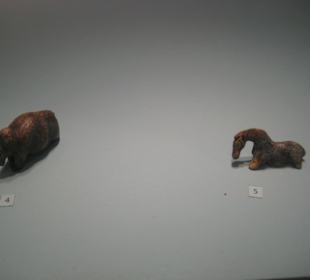 Rheinisches Landesmuseum