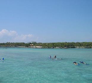 Offene Schnorchellagune