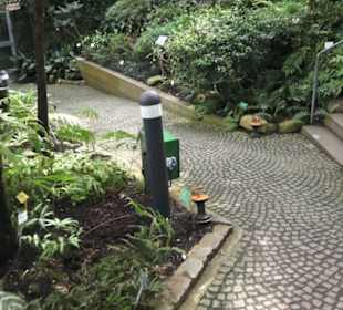 Palmfarnhaus -  Botanischer Garten