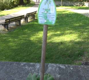 Kräutergarten Engelhalde