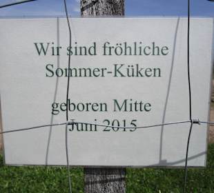 Straußenfarm Mhou Rülzheim