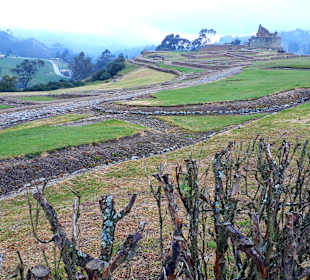 Inka Ruine Ingapirca