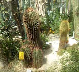 Botanischer Garten München