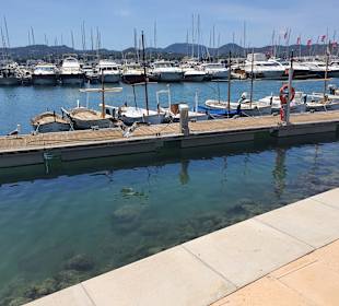 Yachthafen San Antonio/San Antoni de Portmany