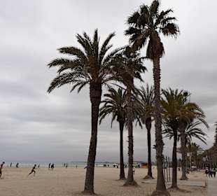 Platja de Llevant