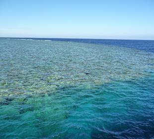 Tauchausflug zum Paradise Riff