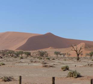 Dünen vom Sossusvlei