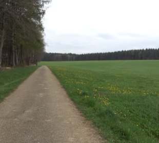 Wanderweg Kunst der kleinen Schritte