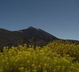 Teide