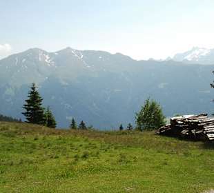 Blick auf die Alpen