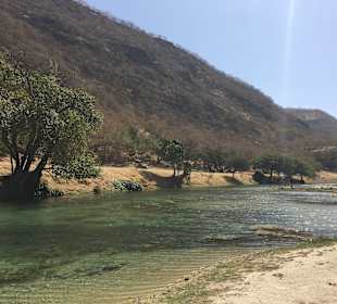 Jebel-Safari