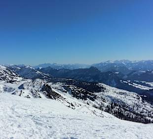 Ausblick