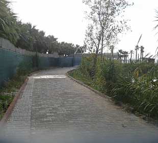 Weg zum Strand von Kumköy