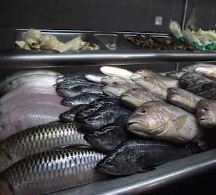 Gegenüber im Top Spot - seafood exzellent und frisch