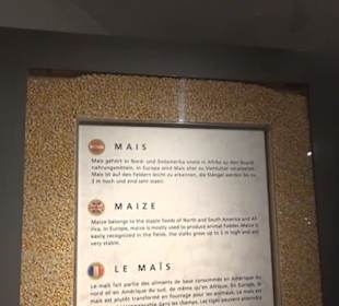 Alles für Nase und Gaumen