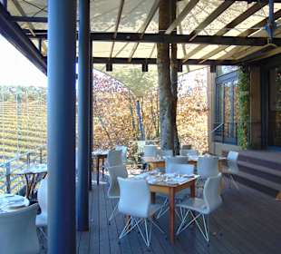 Weingut Tokara in Stellenbosch