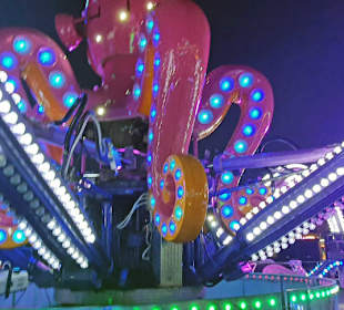 Krage voller Quatsch