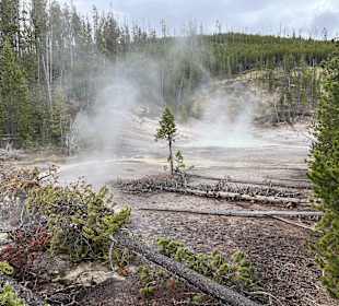 Yellowstone Nationalpark