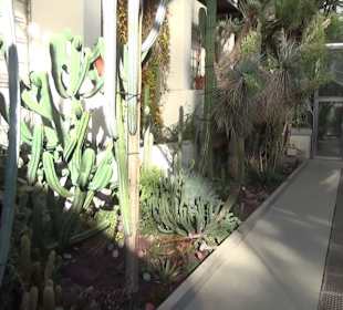 Real Jardín Botánico