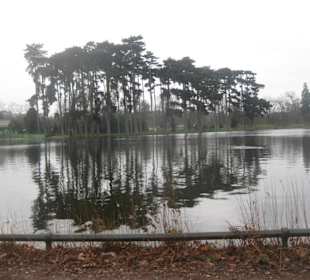 Lago nel bosco