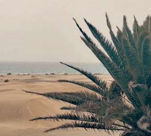 Dünen von Maspalomas