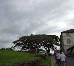 Galle