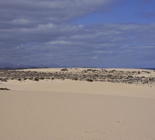 Dünen kilometerweit