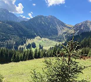 Wandern Rieden am Forggensee