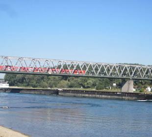 Uferpromenade Germersheim