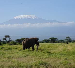 Amboseli