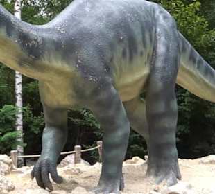 Dinosaurier Museum Altmühltal