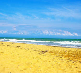 Strand Bibione 06_2011