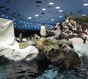 Ich glaube da war es kalt