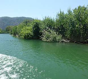 Dalyan Ausflug: Schilflandschaft Dalyan / Kaunos