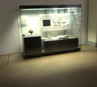 Museum für Naturkunde