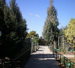 Einblick in den Park