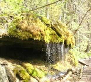 Abwechslungsreiche Landschaft