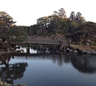 Hikone castle and surrounding garden