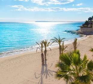 ISC Spain Sommercamps in sonnigem Alicante