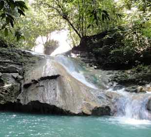 Dschungel Trekking Tour