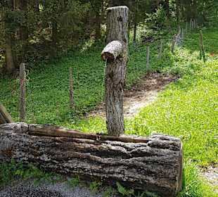 Wandern Bad Kleinkirchheim