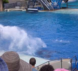 Sea World