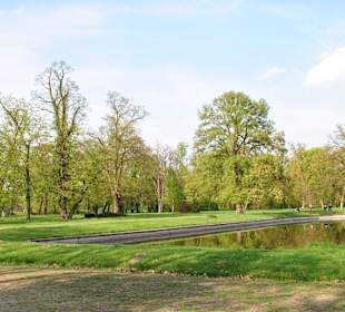 Park zamkowy wraz ze stawem.