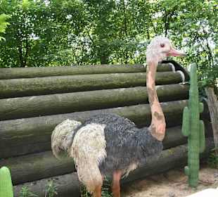 Serengeti Park Hodenhagen